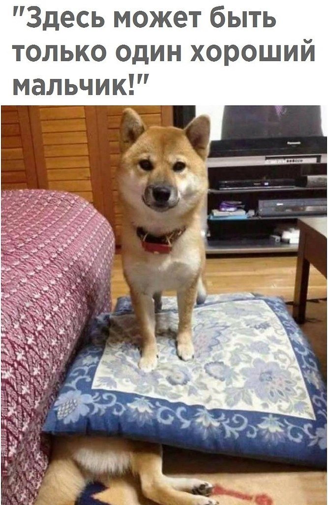 ������ ����� �� ����� ������������