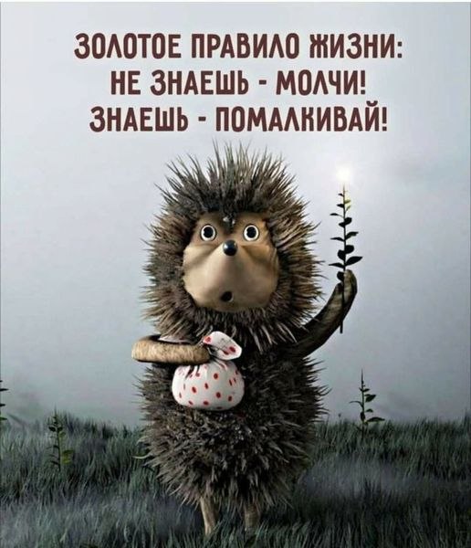   - 2  2021  13:28