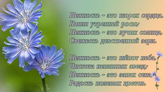 Если тебе к человеку хочется подойти со спины и обнимать долго-долго, то ты можешь смело с ним жить. ...