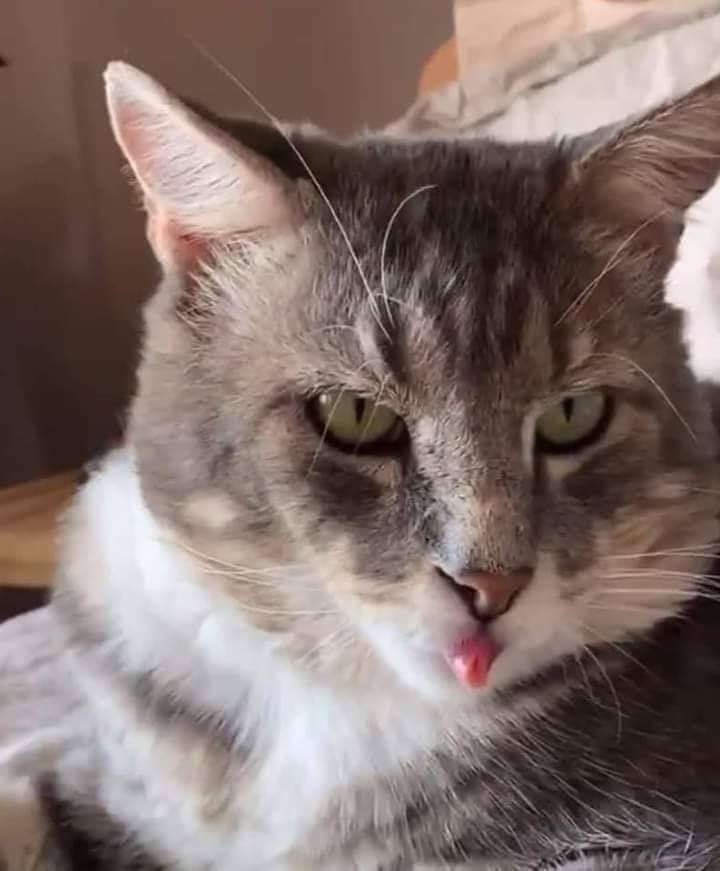    ,     :