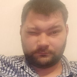 Bear, , 37 