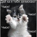 ���� ������, ��������, 31 ��� - ��������� 21 ������ 2021 � ������ ���� ����������