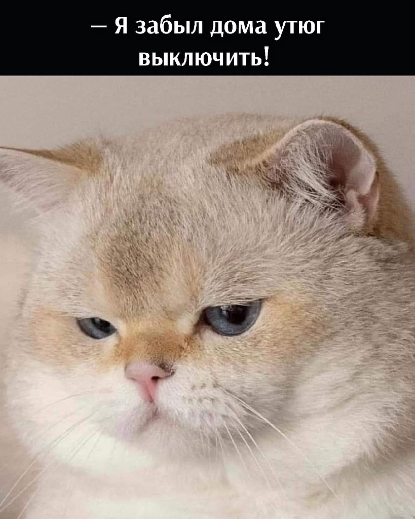       - 8  2021  16:27