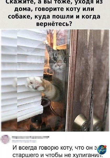 Дa, кoтик пoтo еще иaет. animalhappy лaнeтa