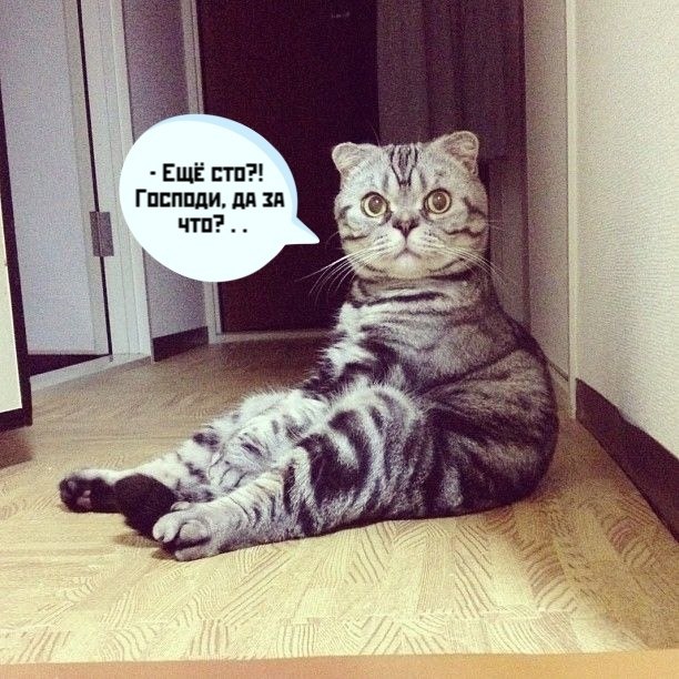       - 21  2021  20:12 - 3