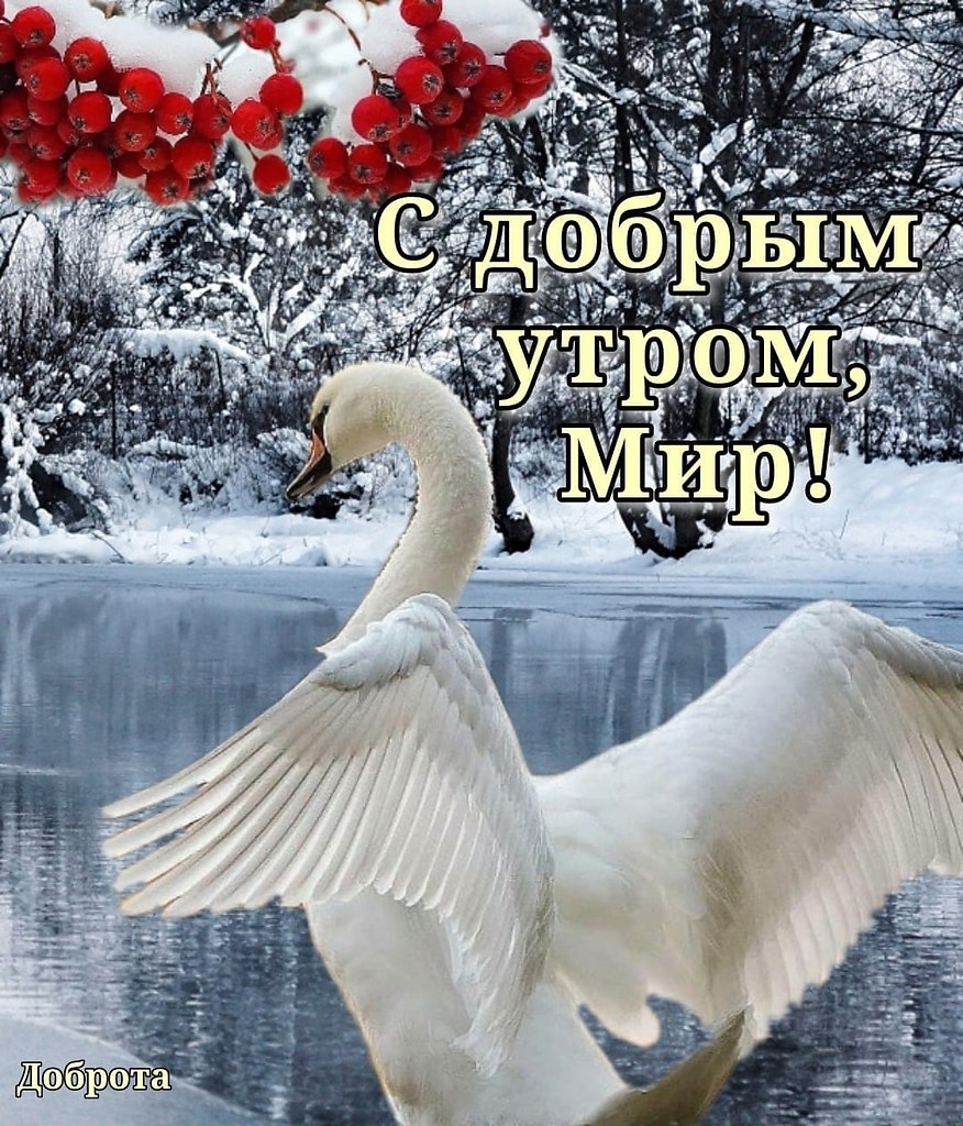 Повеяло морозом в ноябре, Льдом скованы оставшиеся лужи И снова сыплет снегом во дворе, И к нам ...