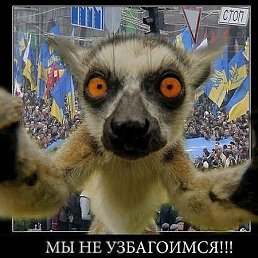 ������, ���������