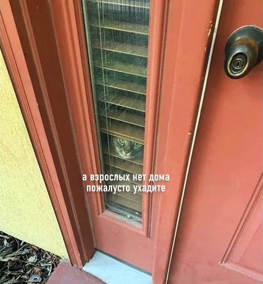    ,     26 