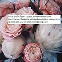 ���� ������, ������������ - ��������� 4 ���� 2021 � ������ ��������