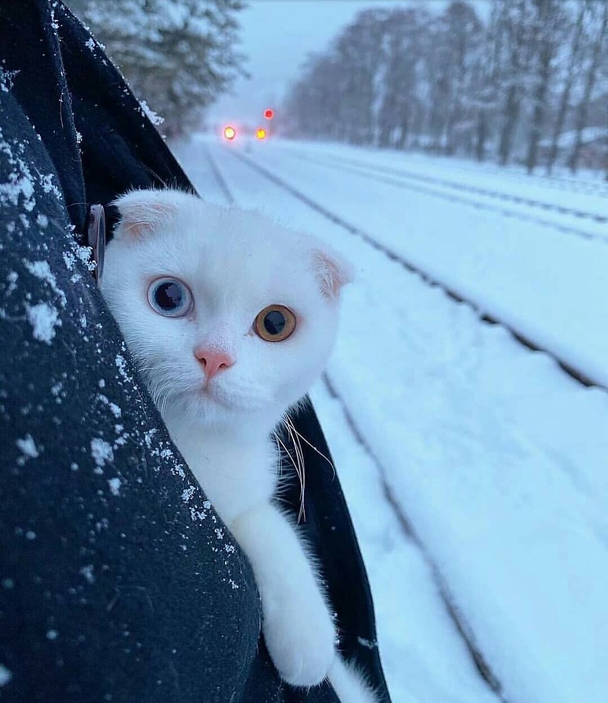  ! - 22  2021  08:44