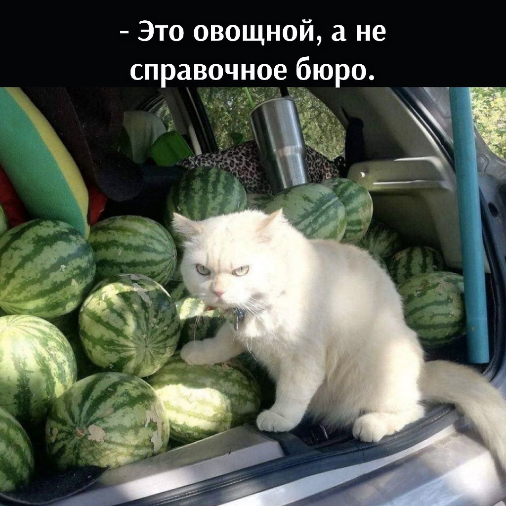       - 12  2021  10:20 - 6