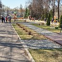  , , 43  -  8  2021   06.05.2021