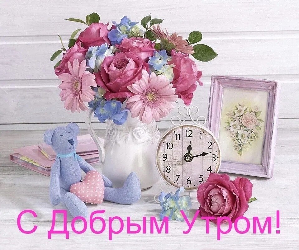   ,    . - 4  2021  23:31 - 2