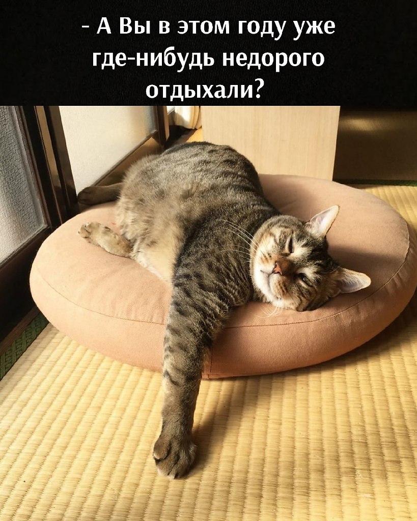       - 13  2021  11:52