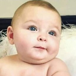 Anonim, �����, 59 ���