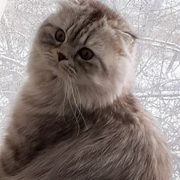 ���� �����-, ������� - ��������� 21 ������ 2022