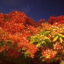 ������ ������ ������ ��������� �������� �������... �� ������� ���� ����������