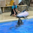  Liza, , 41  -  12  2021    