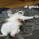 ���� �����, �������, 35 ��� - ��������� 30 ������� 2021 � ������ ���� ����������