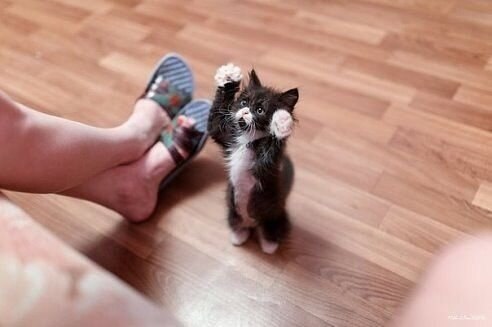 ,  ...   !..