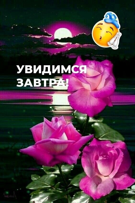   ,    . - 18  2021  22:32 - 3