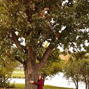 ���� ����, ���������, 68 ��� - ��������� 14 ������� 2021 � ������ ���� ����������