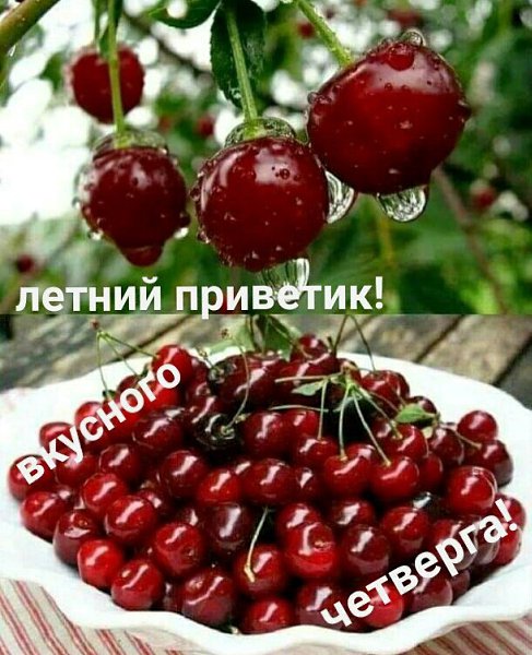   ,    . - 25  2021  00:05 - 6