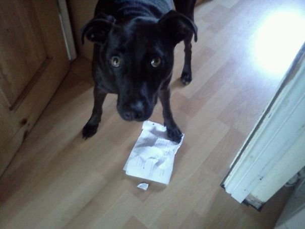 ������ ��� �� ��������� ������� �����