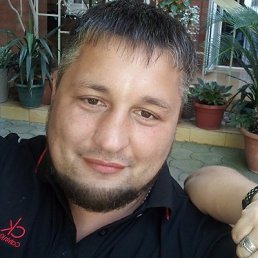 �����, 37 ���, ��������