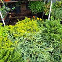 ���� ������, �����-���������, 60 ��� - ��������� 17 ���� 2021