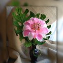  , , 59  -  17  2021    )