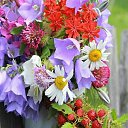  ***L***,   -  16  2021    2021 .