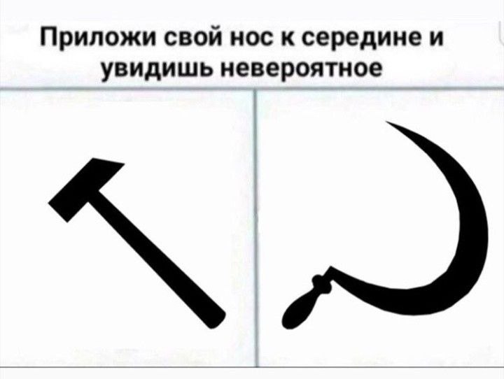   - 16  2021  11:31