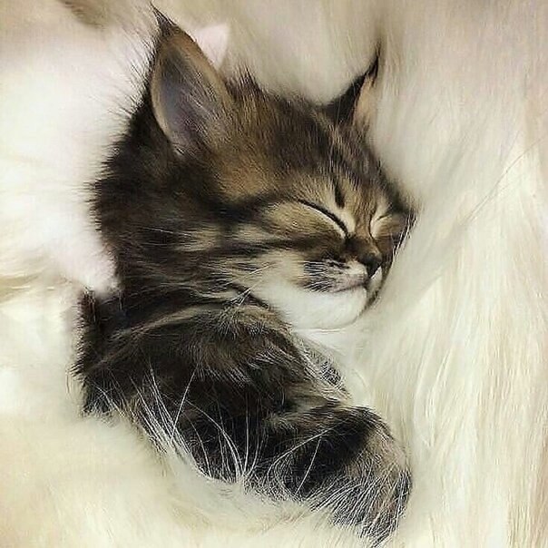 o o  !