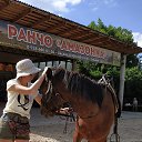 ���� ����, �����-���������, 55 ��� - ��������� 13 ���� 2021 � ������ ���� ����������