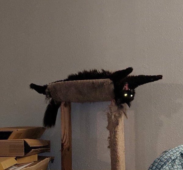 ׸���� ��� - ��� ���� ��������� ���������� ������� - 3