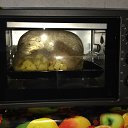 ���� �����, �����-���������, 48 ��� - ��������� 1 ��� 2021 � ������ ���� ����������