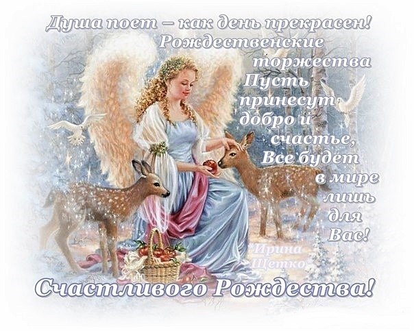   ,    . - 7  2022  14:39