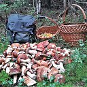 ���� �����, �����-���������, 63 ���� - ��������� 3 �������� 2021 � ������ ������ ��������