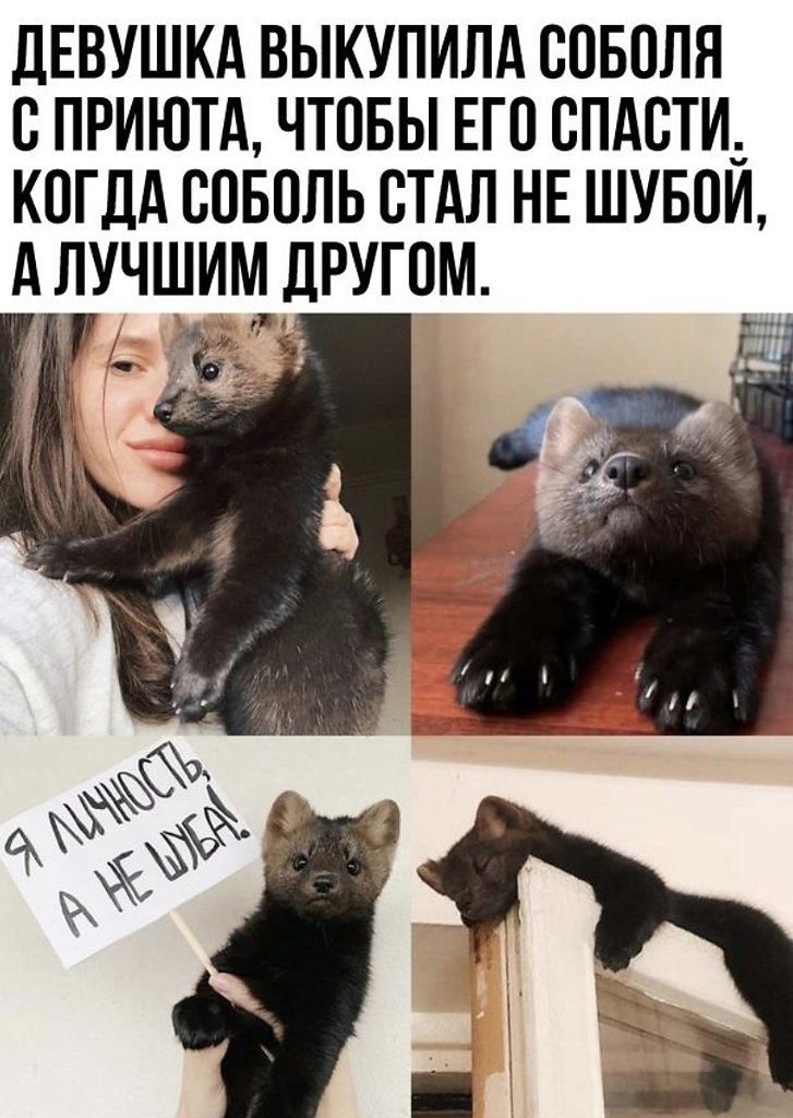   ,  .