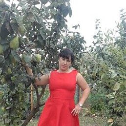 ���������, ������, 43 ����