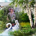 ���� �������, ����������� - ��������� 31 ������� 2021 � ������ ���� ����������