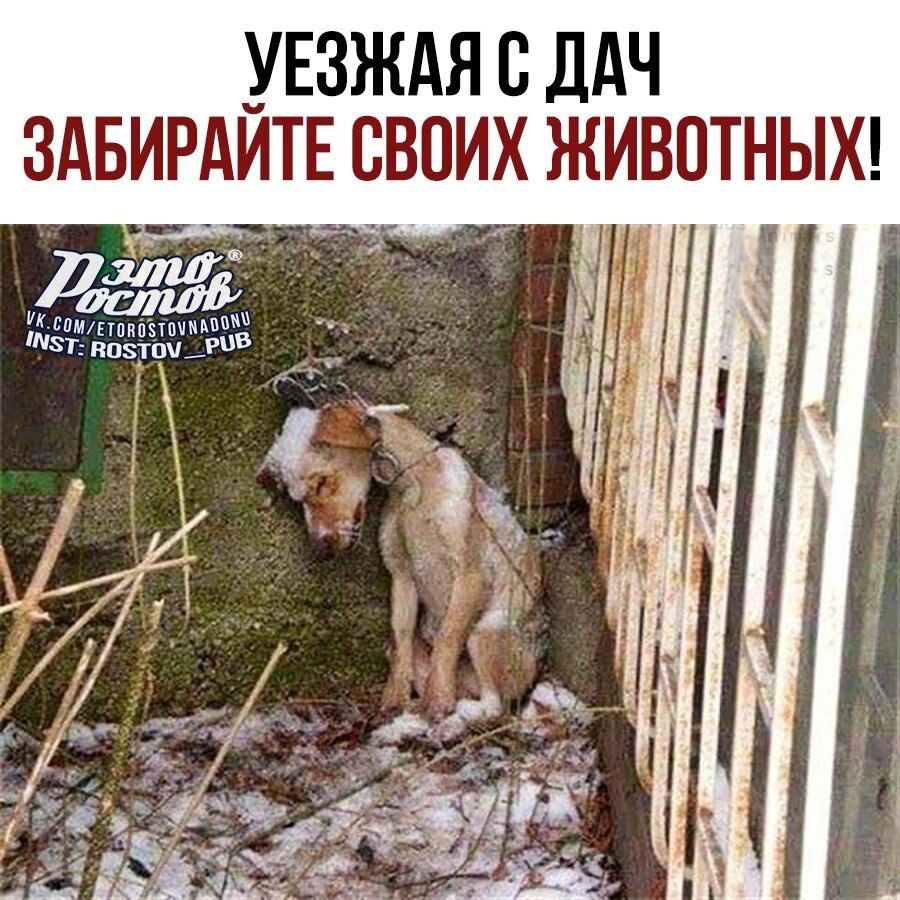 ���� - 15 �������� 2021 � 08:30