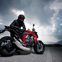 ��������, ������, 41 ���