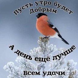 �����, �����������, 47 ���