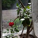 ���� ������, ��������������, 66 ��� - ��������� 30 ������ 2022 � ������ ���� ����������