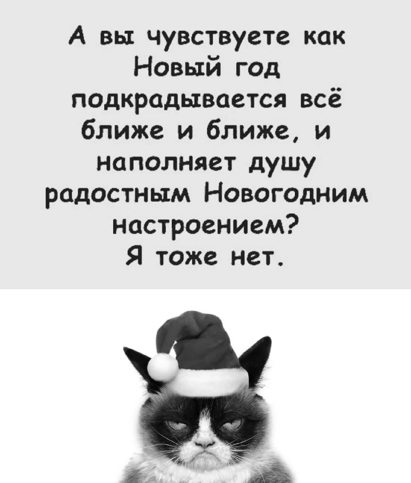 ***Victoria Viktorovna*** - 5  2022  16:09