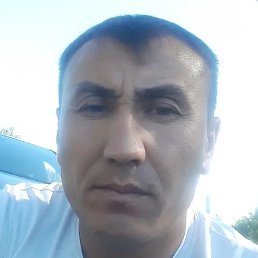 �����, �����-���������, 40 ���