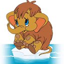  ,  , 60  -  29  2022