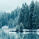 ���� �����, ������-��-����, 31 ��� - ��������� 3 ������ 2023 � ������ ���� ����������